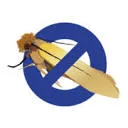Moth-Prevention